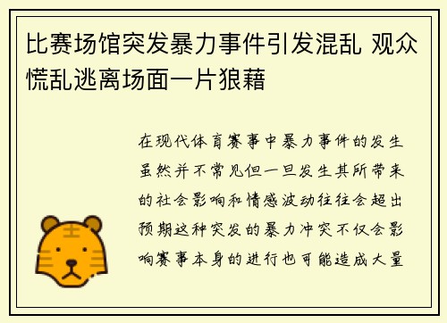 比赛场馆突发暴力事件引发混乱 观众慌乱逃离场面一片狼藉