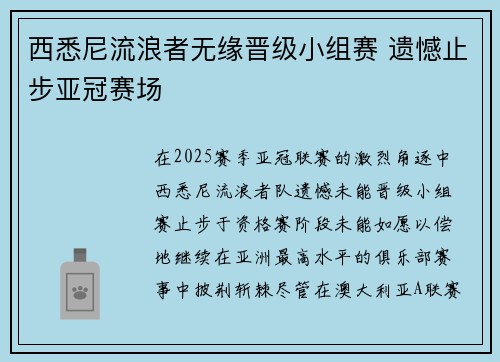 西悉尼流浪者无缘晋级小组赛 遗憾止步亚冠赛场